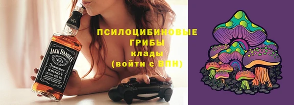 PSILOCYBIN Лихославль