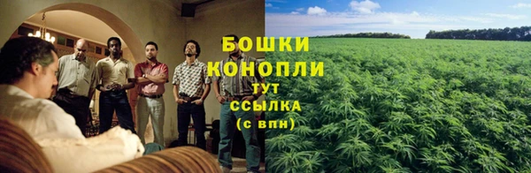 PSILOCYBIN Лихославль