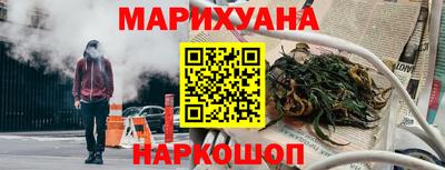 сатива Можга