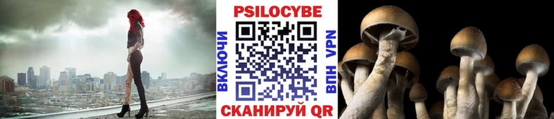 МЕГА как войти Нефтеюганск Псилоцибиновые грибы MAGIC MUSHROOMS купить наркотики цена