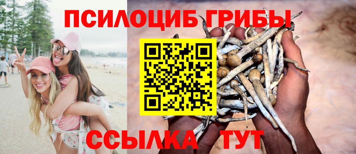 Галлюциногенные грибы Psilocybe  Вход с VPN  Галлюциногенные грибы мухоморы  Нефтеюганск 