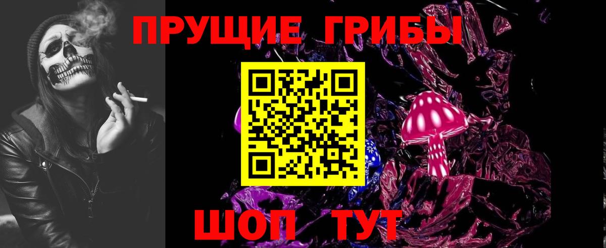 Псилоцибиновые грибы Psilocybe Нефтеюганск